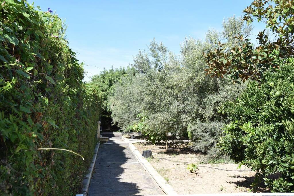 Casa Rural " La Bruja " Segorbe Exterior photo